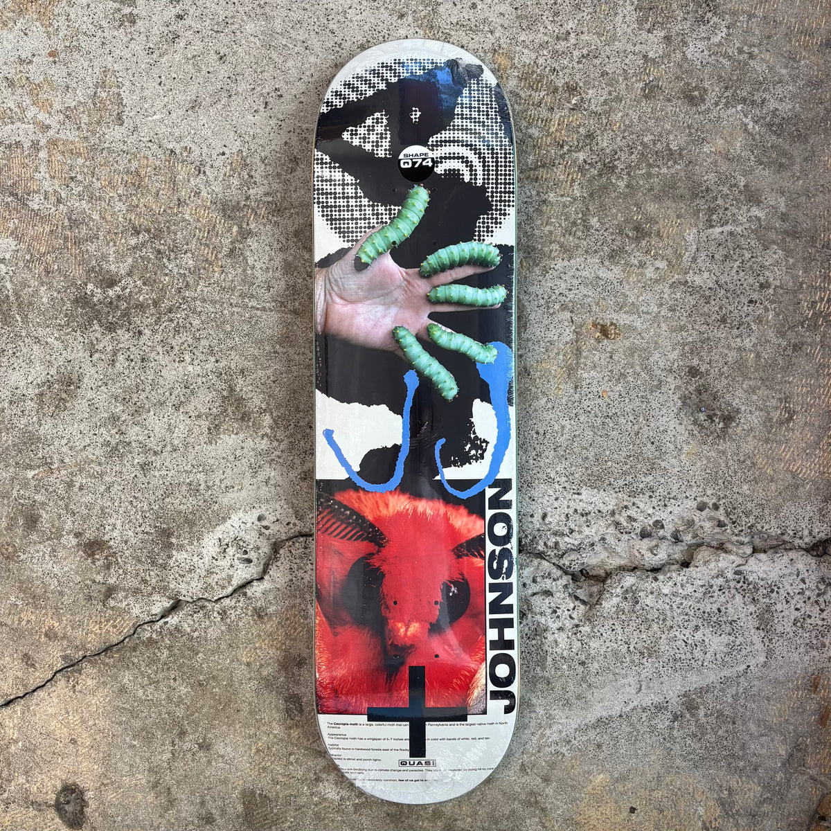 Mothhead 8.25 (Johnson)
