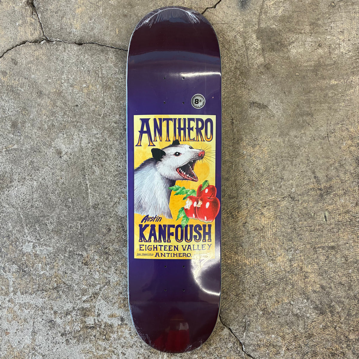Antihero Kanfoush Homer II Deck 8.5