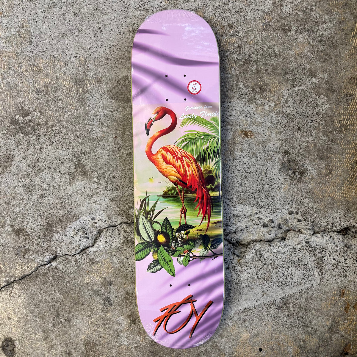 JF Flamingo Deck 8.0