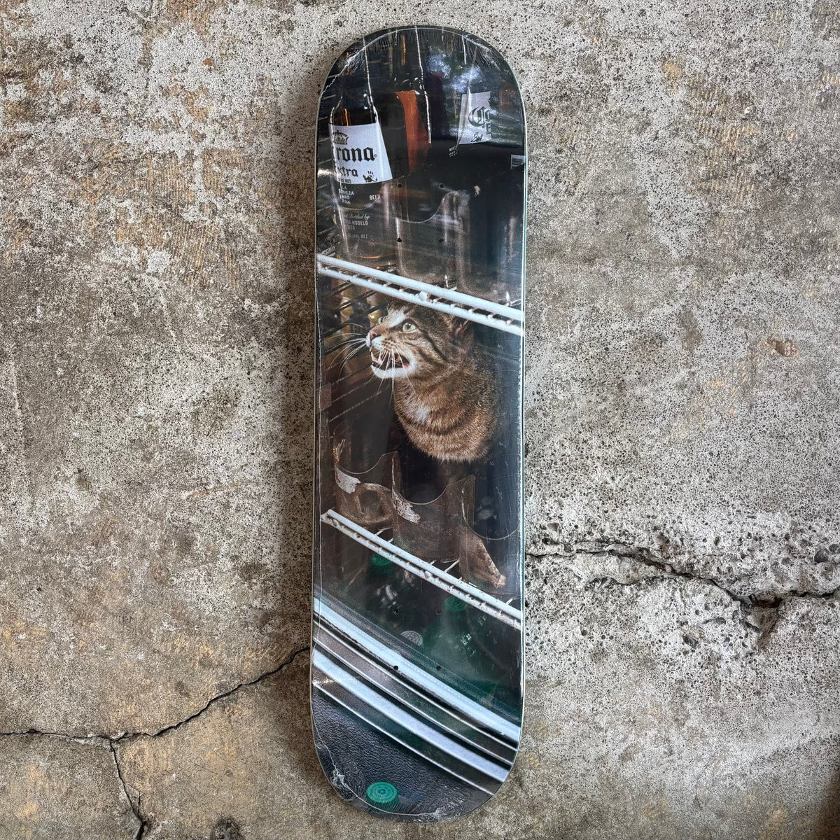 GX1000 Bodega Cat Deck
