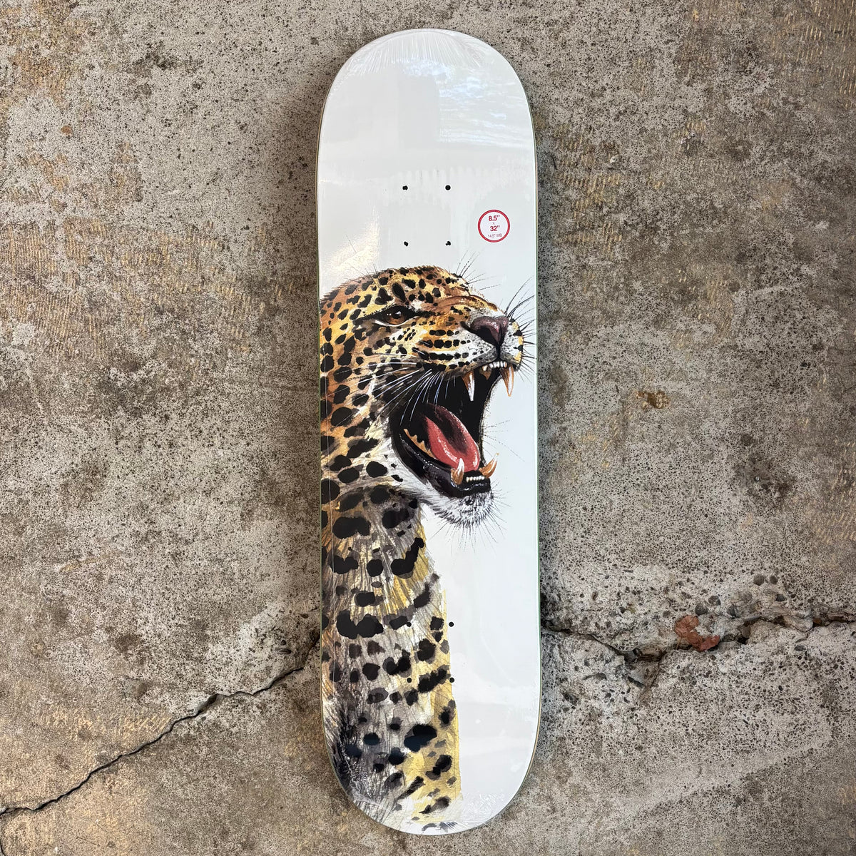 Deathwish Pedro Delfino Ritual Deck 8.5