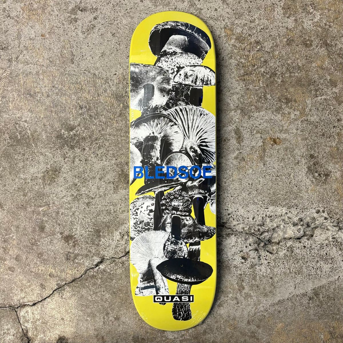 Bledsoe Mush Deck 8.5