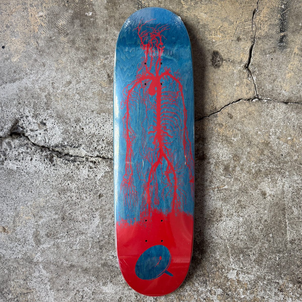 Vessels Deck 8.75