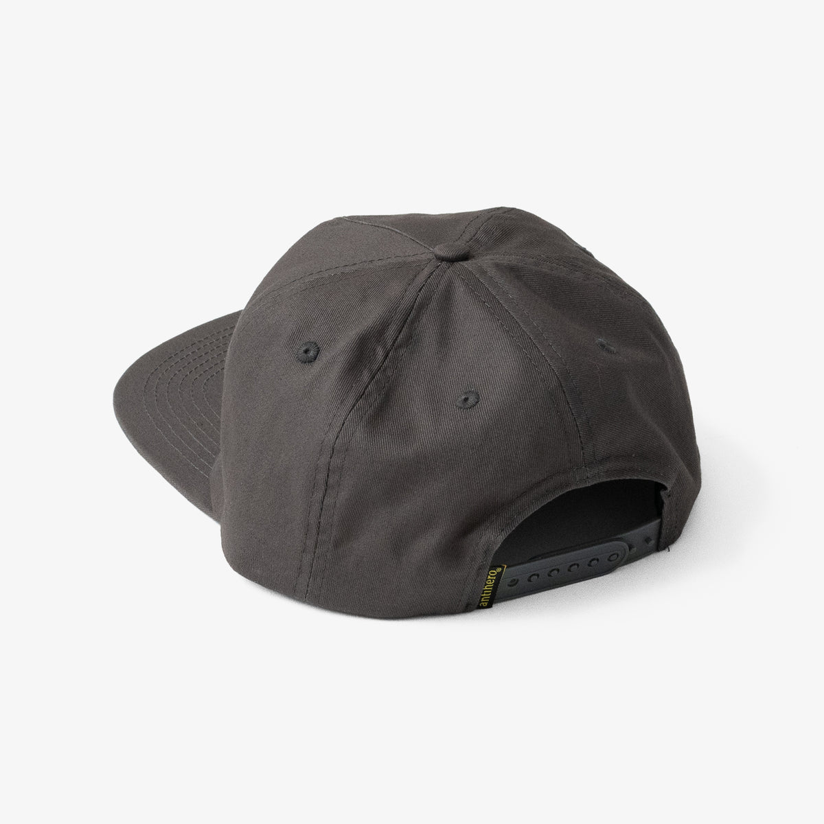 Antihero Vampigeon Snapback (Charcoal)