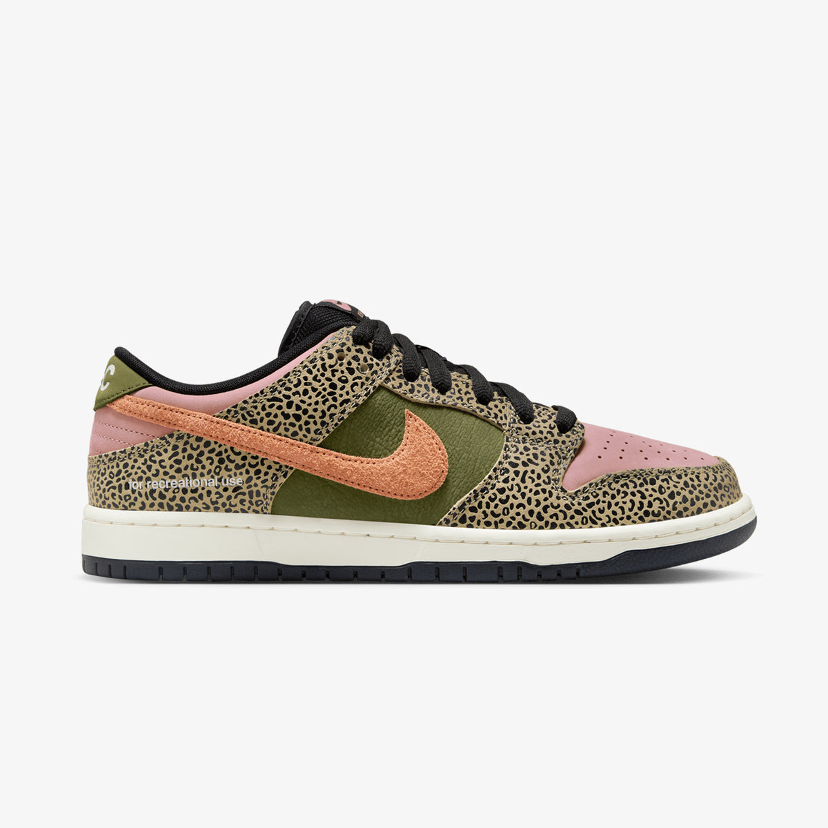 Nike SB Dunk Low (Arts &amp; Rec Safari)
